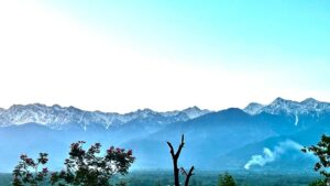 Dhauladhar View